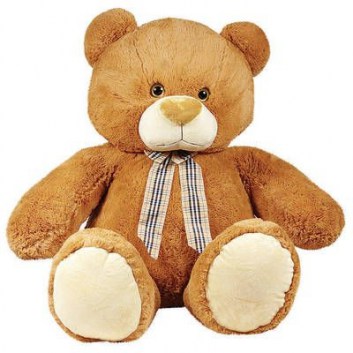 Teddy642